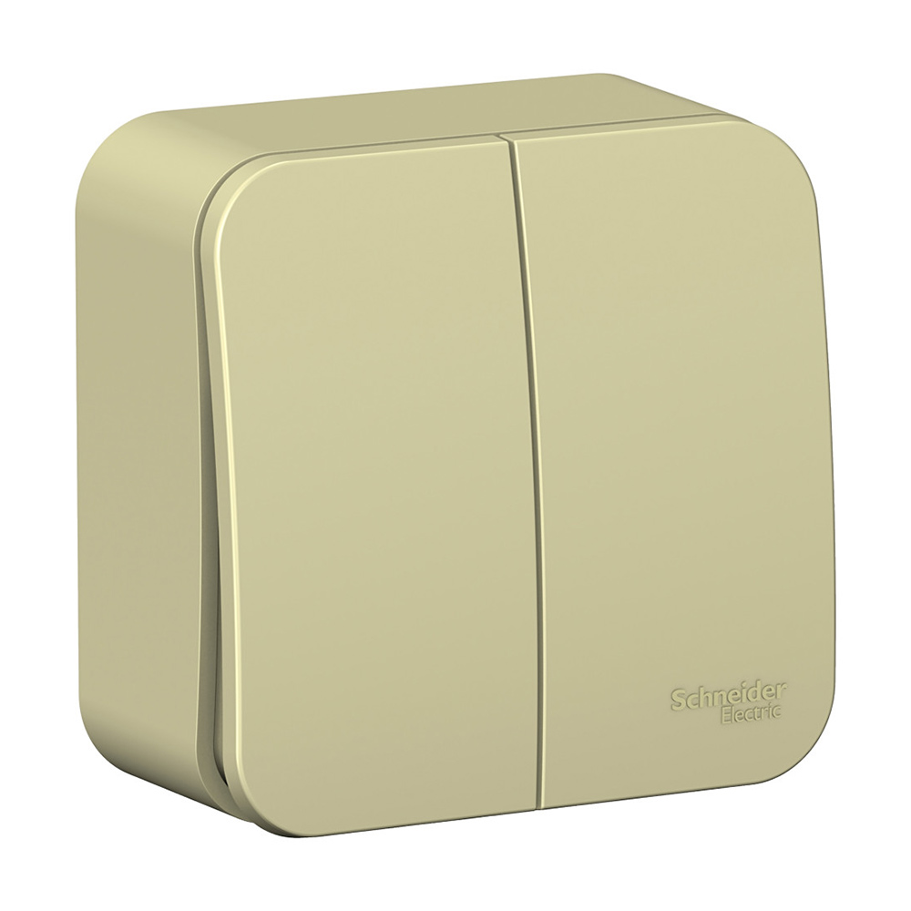 Выключатель Schneider Electric Blanca BLNVA105017 двухклавишный открытая установка бежевый