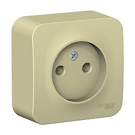 Розетка Schneider Electric Blanca BLNRA000117 открытая установка бежевая без заземления