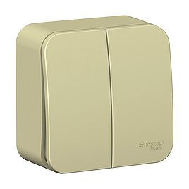 Выключатель Schneider Electric Blanca BLNVA105017 двухклавишный открытая установка бежевый