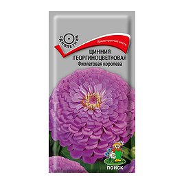Цинния георгиноцветковая Фиолетовая королева Поиск 0,1 г