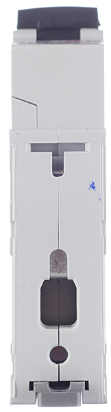 131929_1736532_original