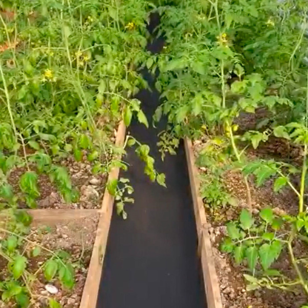 627581_28718735_original