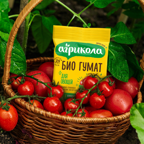 1060613_46735717_original