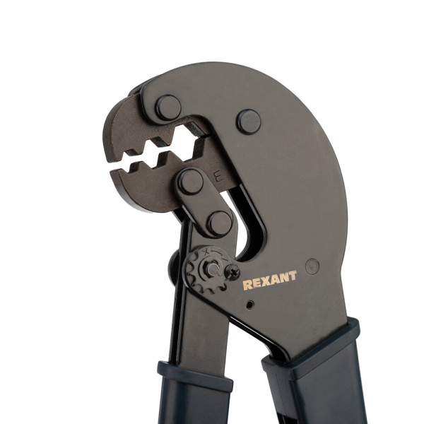 503630_51964513_original