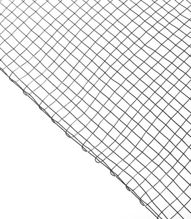 107562_49765_original_main