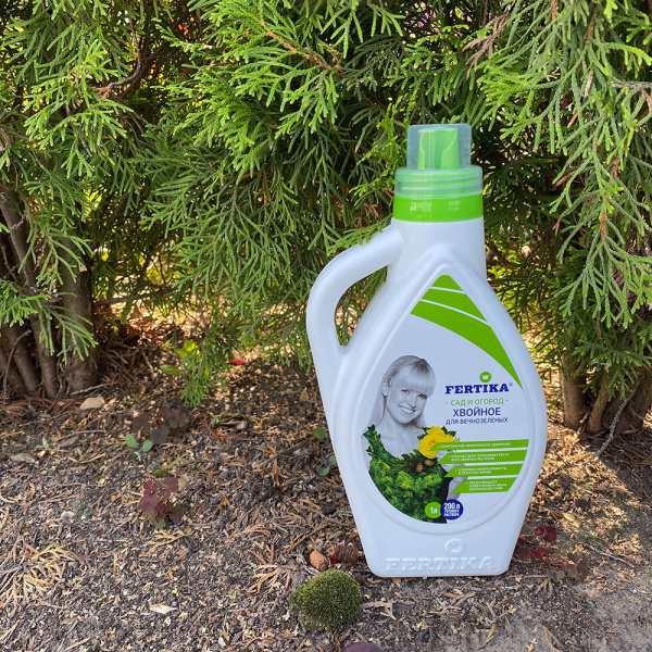 1052043_45250957_original