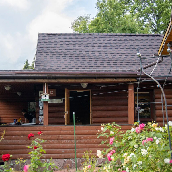 656388_24169690_original