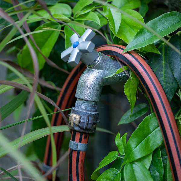 1055490_46225052_original