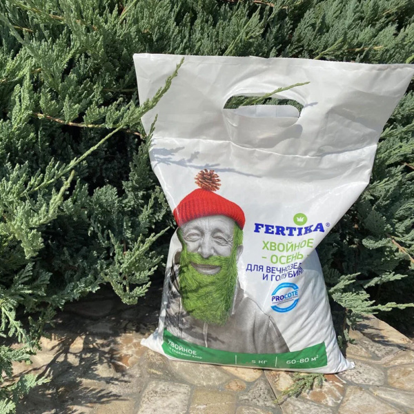 1014262_31296516_original