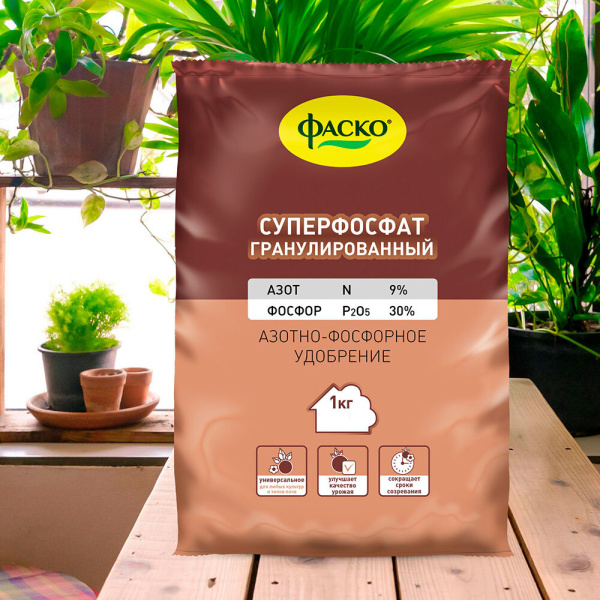 691068_31256545_original