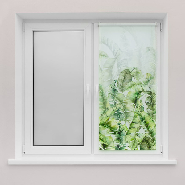 693733_8856555_original