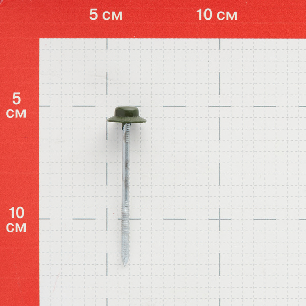 101845_25156773_original