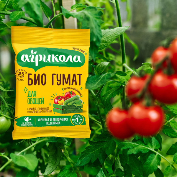 1060613_46735703_original