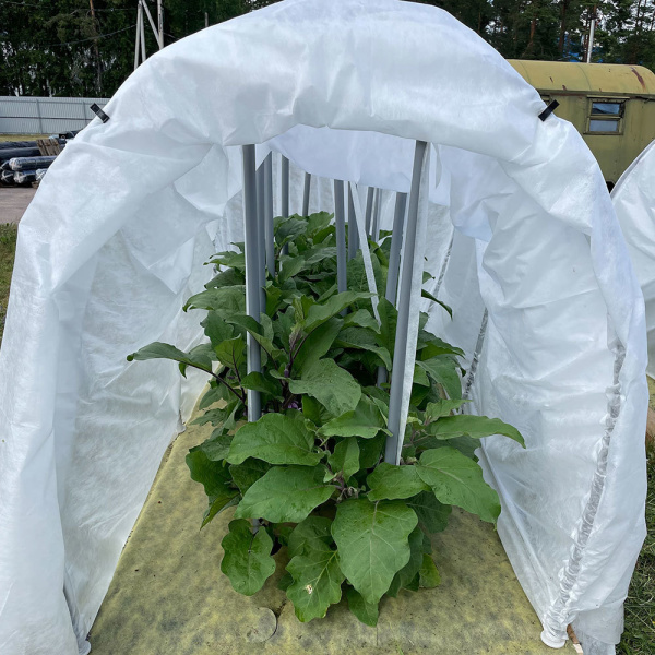 627585_28718850_original