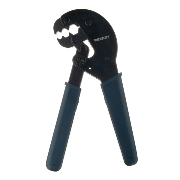 503630_7266079_original_main