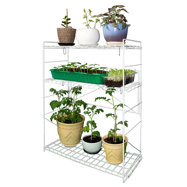 1054848_44828147_original