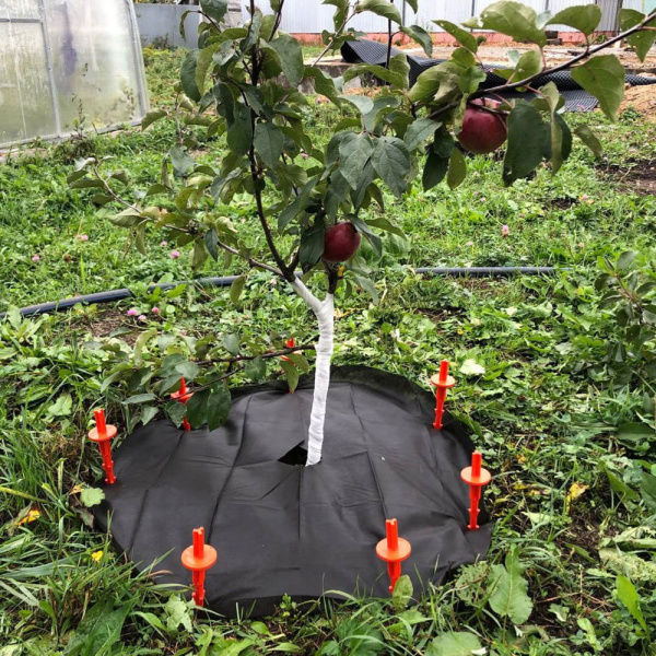 627580_28718709_original