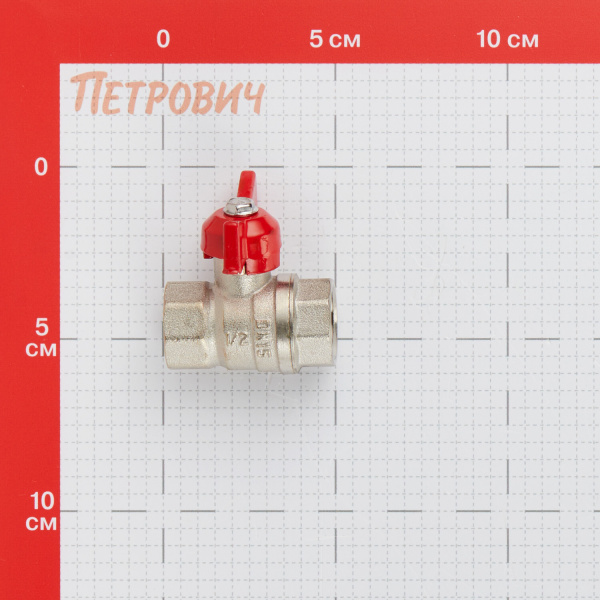 1100488_57681009_original