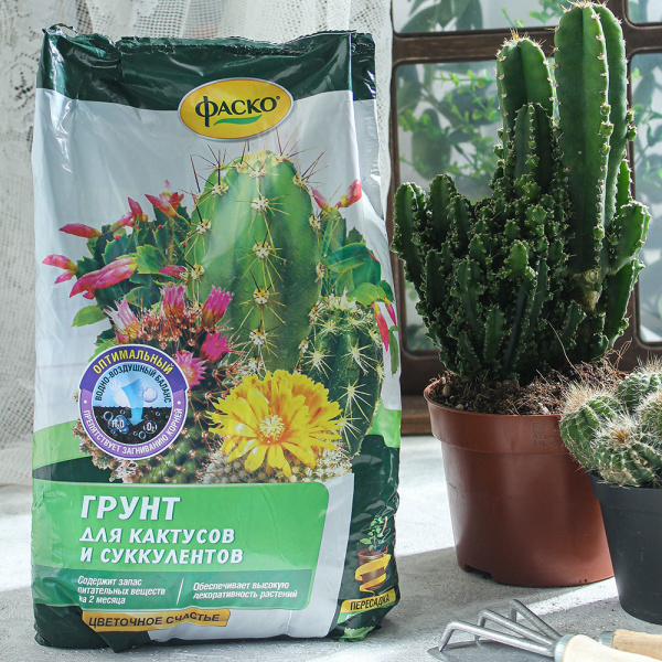 690996_29545230_original