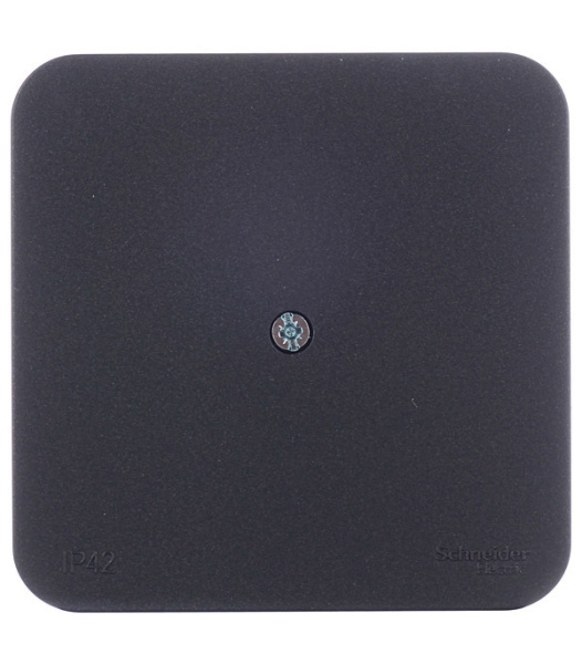 503079_88174_original_main