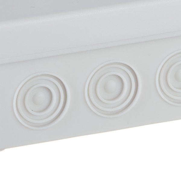 636628_12926504_original