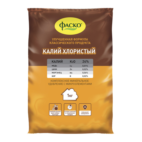 691064_8406716_original_main