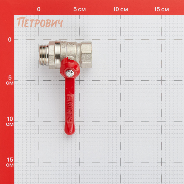 1100490_57681305_original