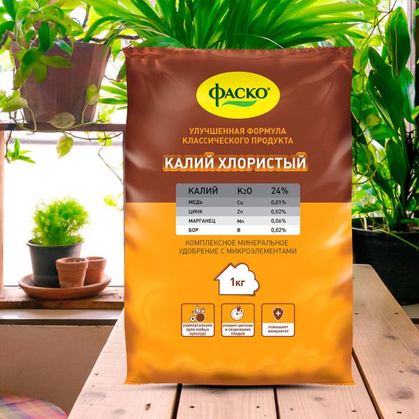 691064_31256385_original