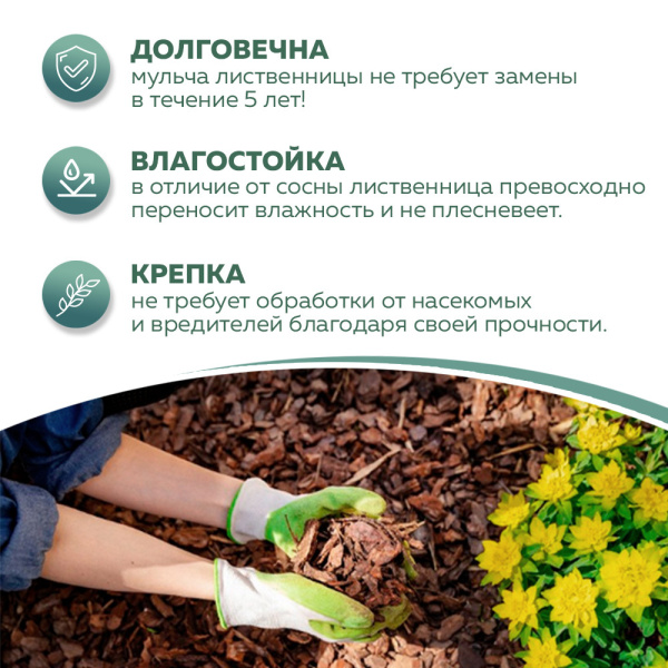 1057358_47527316_original