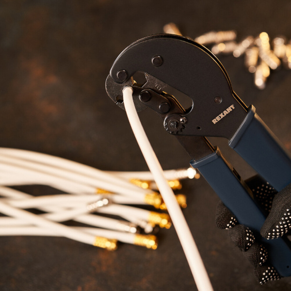 503630_51964529_original