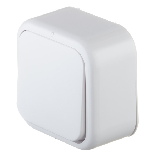 666429_12871896_original