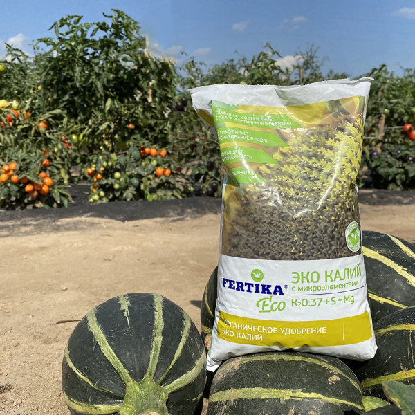 1014263_36171592_original