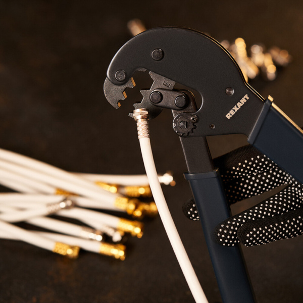 503630_51964554_original