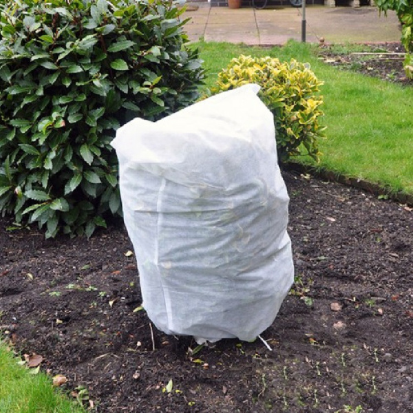 1012213_31100857_original