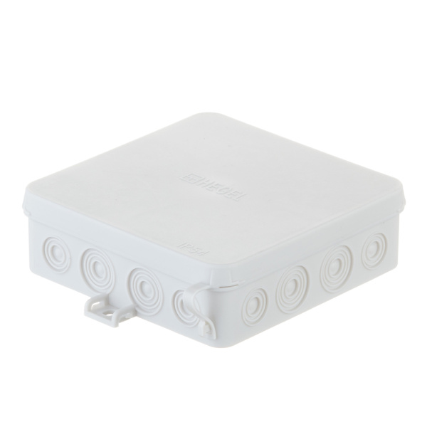 636630_12926930_original_main