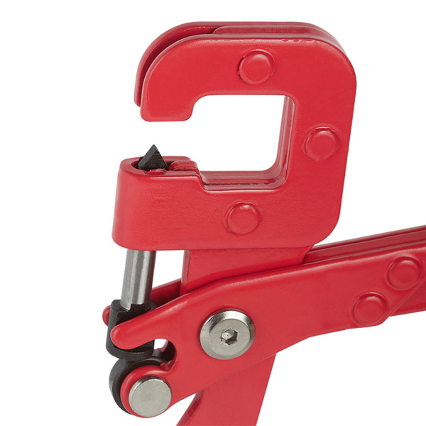 679658_11068345_original