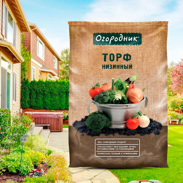 691024_31254853_original