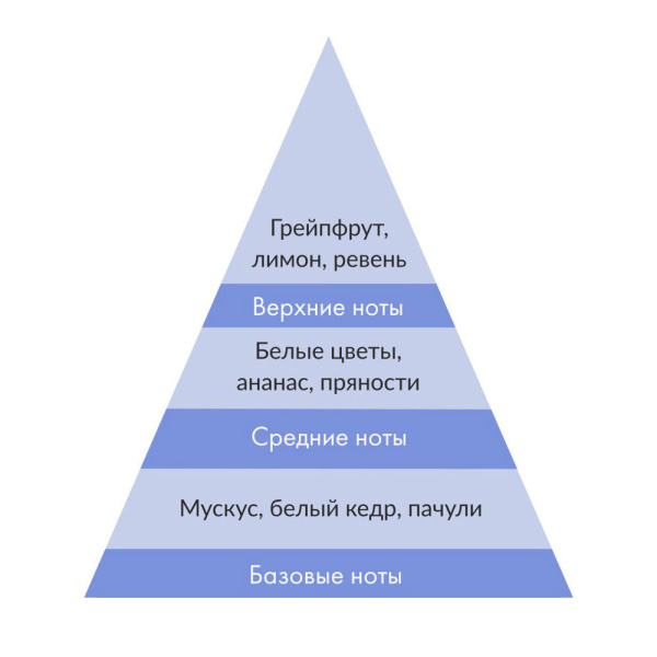 996495_29531325_original