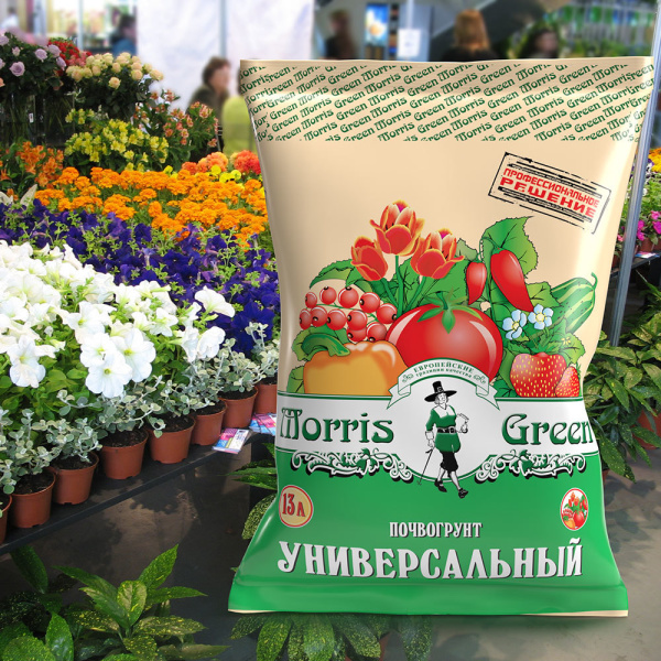 503832_28401925_original